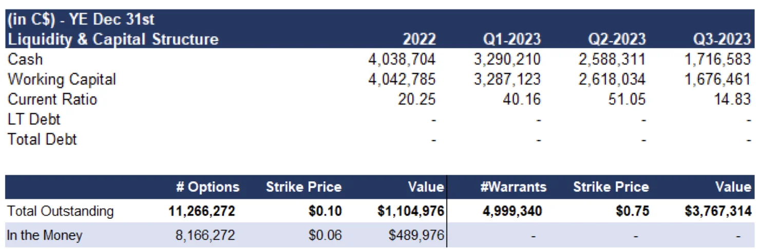 Sekur Liquidity and capital structure table