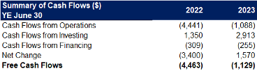 Summary of Cashflows